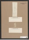 Navicula sp. (de-Toni-Nr.: Genus 1, Species 607 ?) Zeichnungen Sammlung Grunow Nr. 1614 (NHMW-BOT-W0368168)